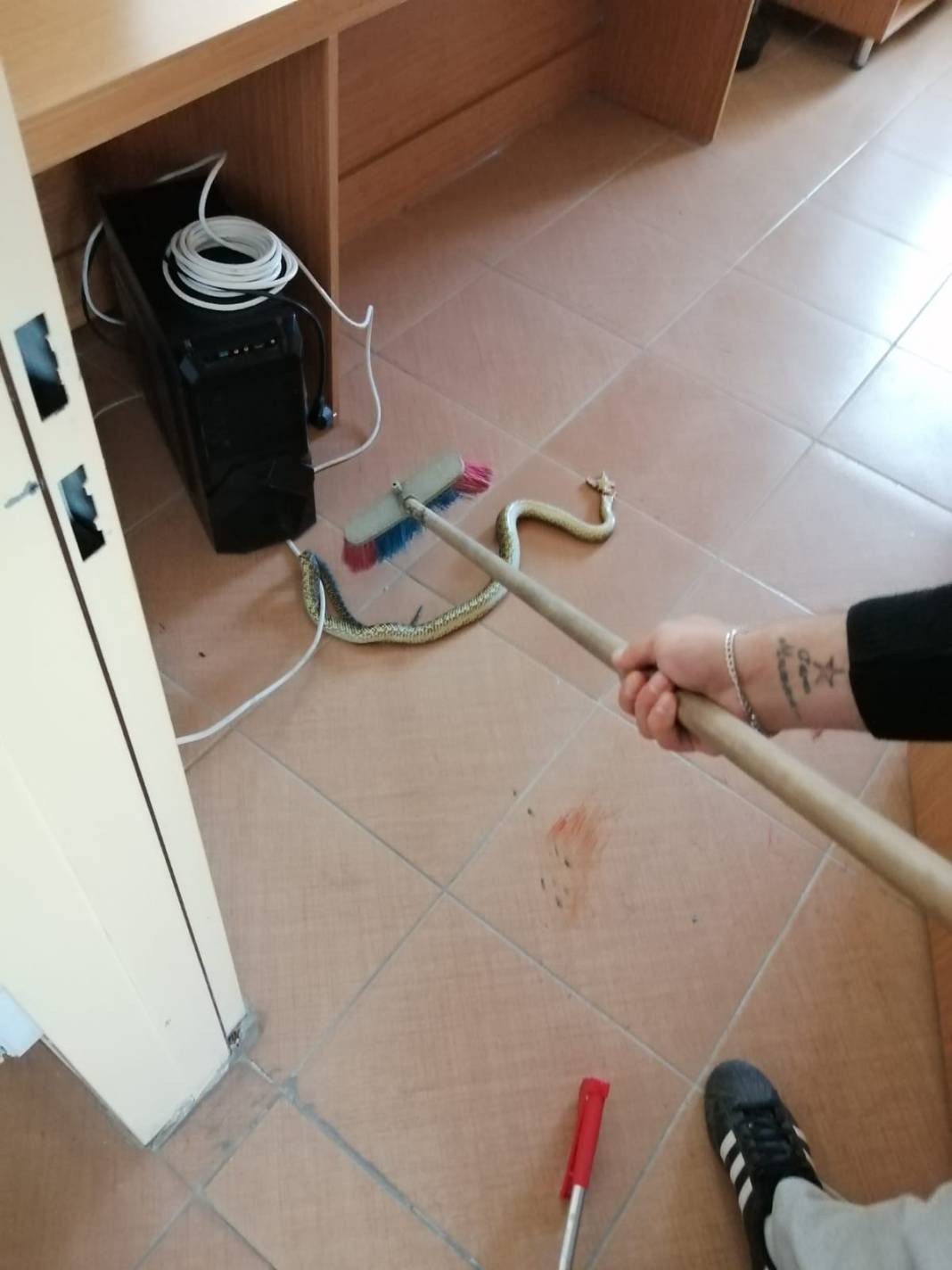 Yılanları mıknatıs gibi çeken 4 nokta belli oldu! Evinde olanlar dikkat - Resim: 25